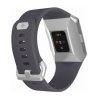 Smartwatch Fitbit Ionic Gris/Azul